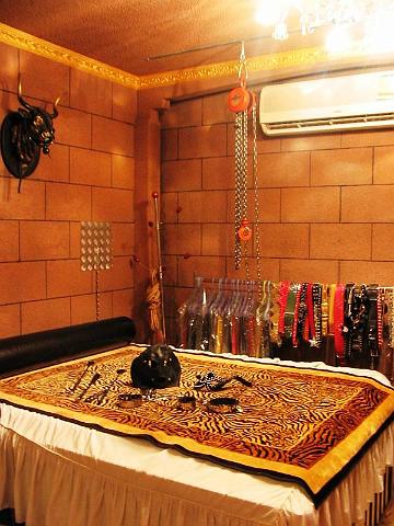 專業地牢 (Dungeon)