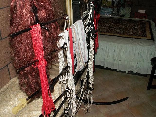 專業地牢 (Dungeon)