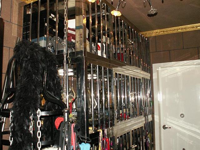 專業地牢 (Dungeon)