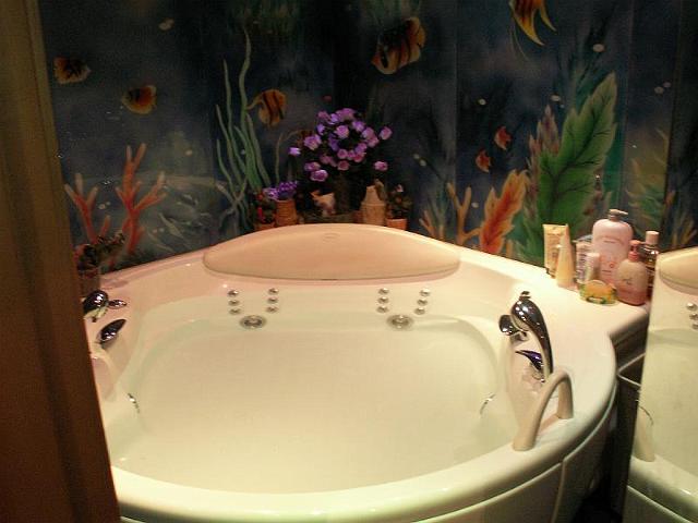 按摩浴池 (Jacuzzi)