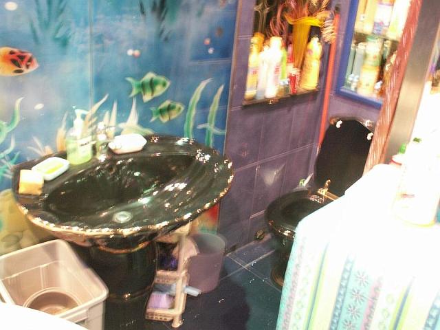 按摩浴池 (Jacuzzi)